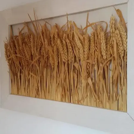 Apartamento Anica & Gabriela